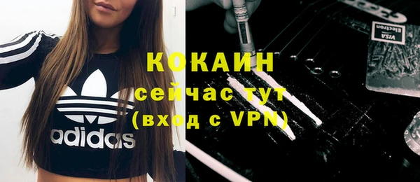 ГАЛЛЮЦИНОГЕННЫЕ ГРИБЫ Коряжма