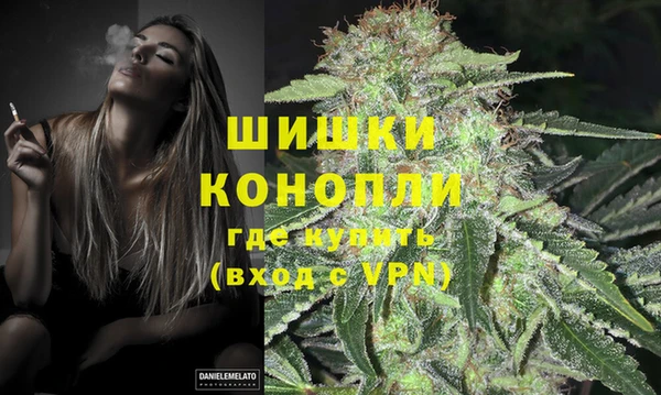 ГАЛЛЮЦИНОГЕННЫЕ ГРИБЫ Коряжма