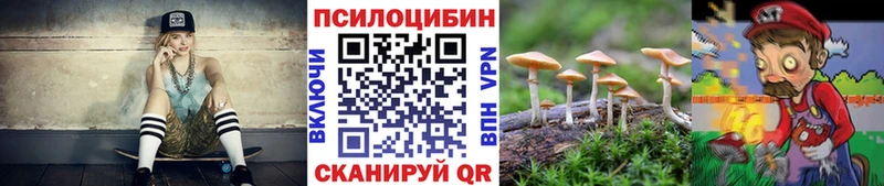 Купить  Микунь  Псилоцибиновые грибы MAGIC MUSHROOMS 